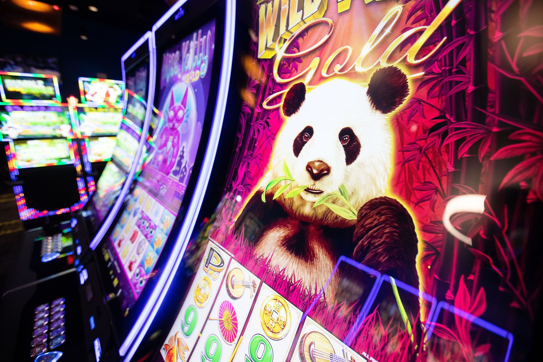 20181102_new_casino_zl3